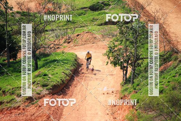 Acquista le foto dell'eventoTreino Premiado de Canicross in Fotop