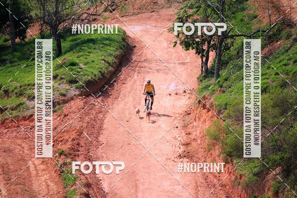 Acquista le foto dell'eventoTreino Premiado de Canicross in Fotop