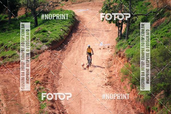 Acquista le foto dell'eventoTreino Premiado de Canicross in Fotop