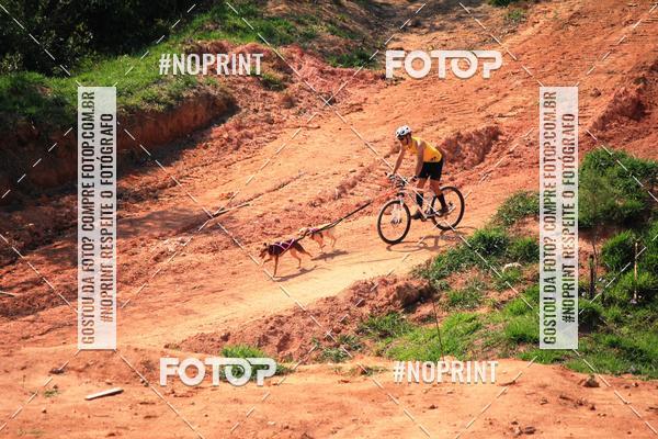 Acquista le foto dell'eventoTreino Premiado de Canicross in Fotop