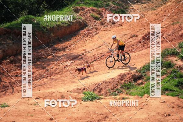 Acquista le foto dell'eventoTreino Premiado de Canicross in Fotop