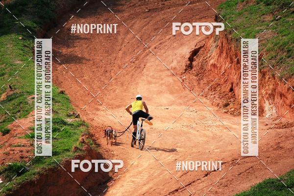 Acquista le foto dell'eventoTreino Premiado de Canicross in Fotop