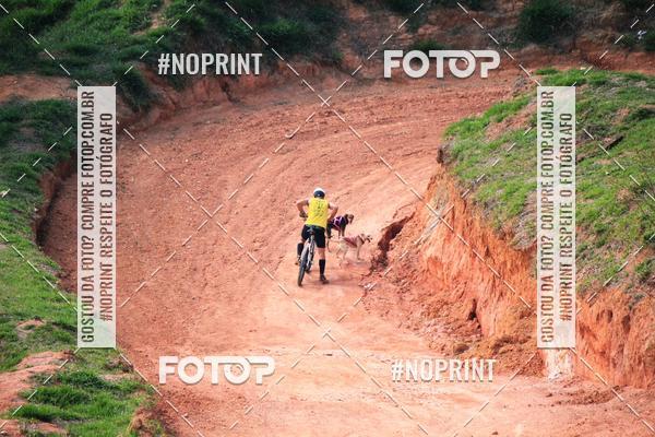 Acquista le foto dell'eventoTreino Premiado de Canicross in Fotop