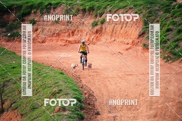 Acquista le foto dell'eventoTreino Premiado de Canicross in Fotop