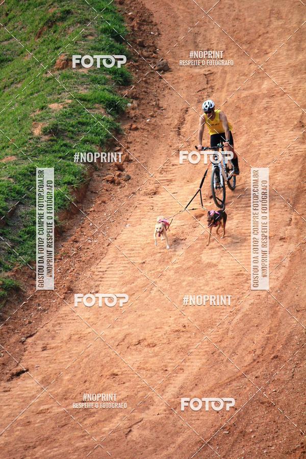 Acquista le foto dell'eventoTreino Premiado de Canicross in Fotop