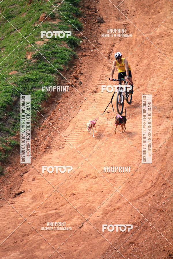 Achetez vos photos de l'vnementTreino Premiado de Canicross sur Fotop