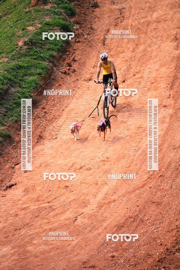 Achetez vos photos de l'vnementTreino Premiado de Canicross sur Fotop