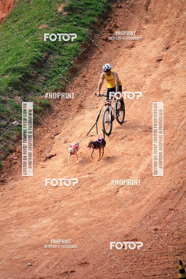 Achetez vos photos de l'vnementTreino Premiado de Canicross sur Fotop