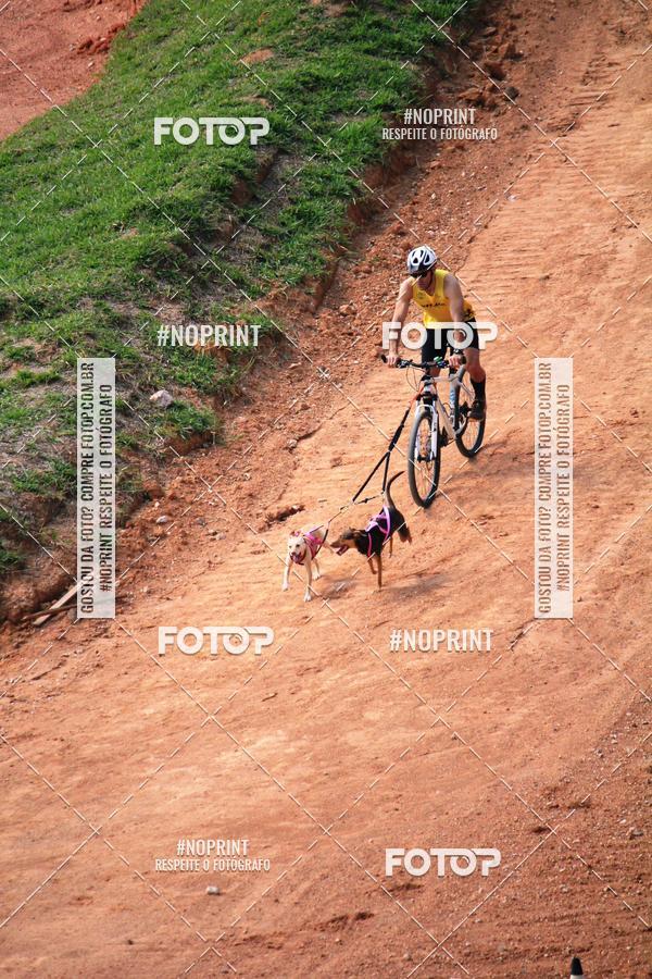 Achetez vos photos de l'vnementTreino Premiado de Canicross sur Fotop