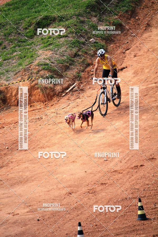 Achetez vos photos de l'vnementTreino Premiado de Canicross sur Fotop