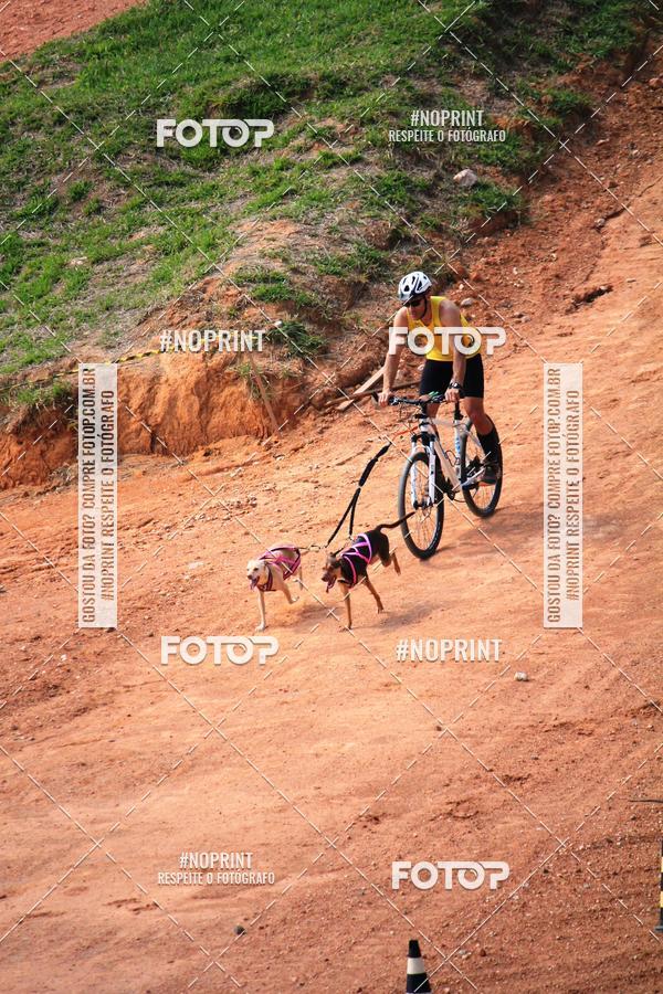 Achetez vos photos de l'vnementTreino Premiado de Canicross sur Fotop