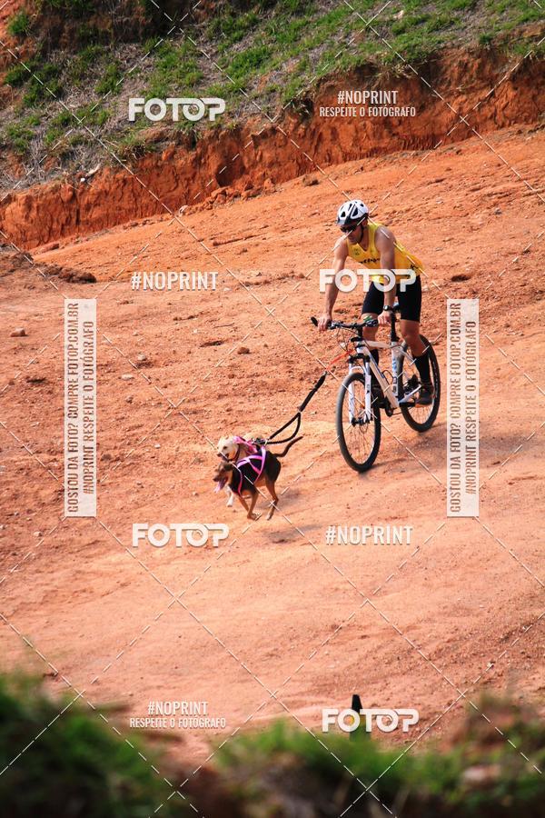 Achetez vos photos de l'vnementTreino Premiado de Canicross sur Fotop