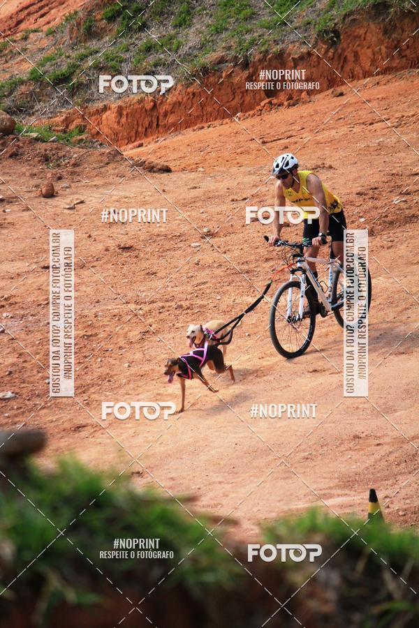 Achetez vos photos de l'vnementTreino Premiado de Canicross sur Fotop