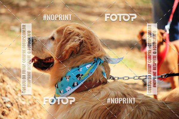 Achetez vos photos de l'vnementTreino Premiado de Canicross sur Fotop