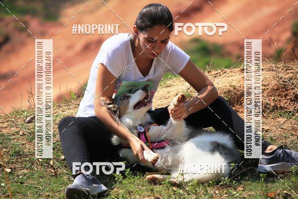 Achetez vos photos de l'vnementTreino Premiado de Canicross sur Fotop
