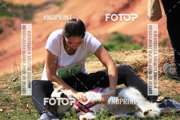 Achetez vos photos de l'vnementTreino Premiado de Canicross sur Fotop