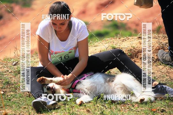 Achetez vos photos de l'vnementTreino Premiado de Canicross sur Fotop