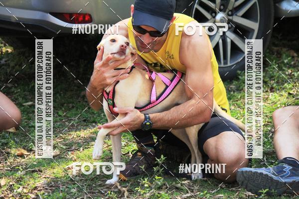 Achetez vos photos de l'vnementTreino Premiado de Canicross sur Fotop