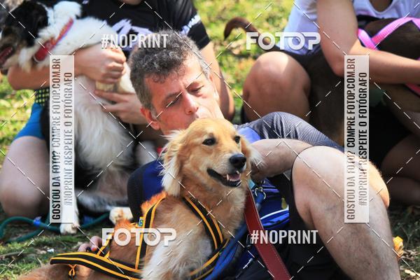 Achetez vos photos de l'vnementTreino Premiado de Canicross sur Fotop