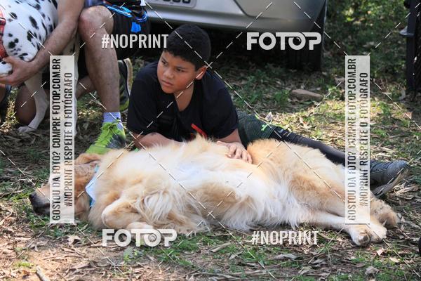Achetez vos photos de l'vnementTreino Premiado de Canicross sur Fotop