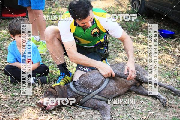 Achetez vos photos de l'vnementTreino Premiado de Canicross sur Fotop