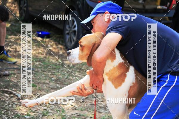 Achetez vos photos de l'vnementTreino Premiado de Canicross sur Fotop