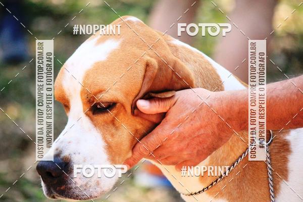 Achetez vos photos de l'vnementTreino Premiado de Canicross sur Fotop