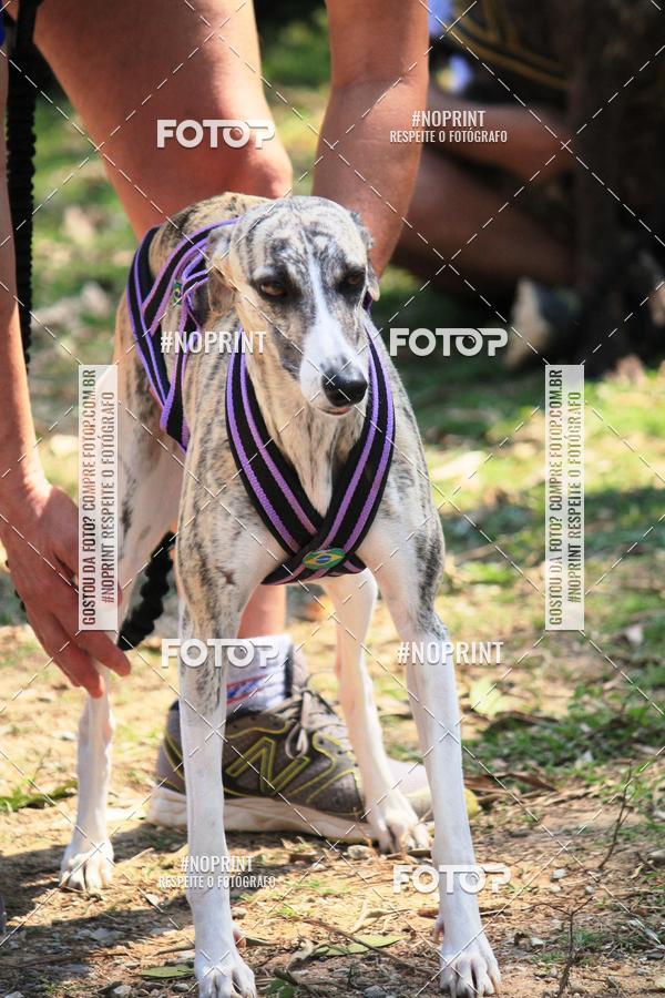 Compre suas fotos do eventoTreino Premiado de Canicross no Fotop