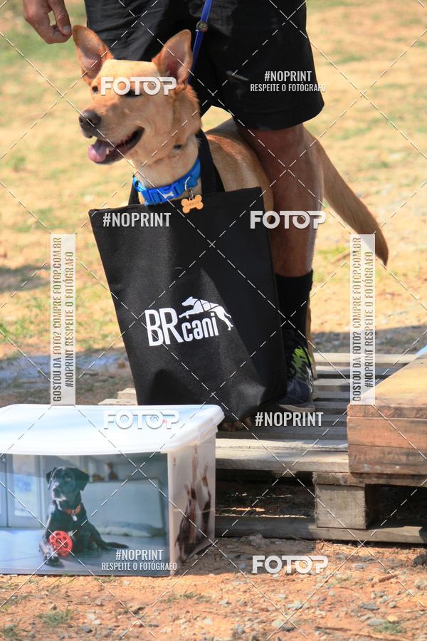Compre suas fotos do eventoTreino Premiado de Canicross no Fotop