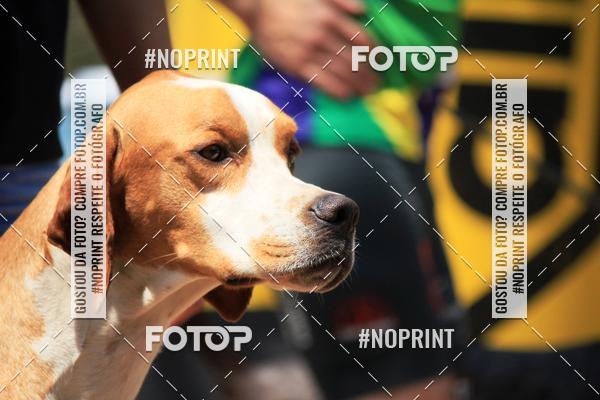 Compre as suas fotos do eventoTreino Premiado de Canicross no Fotop