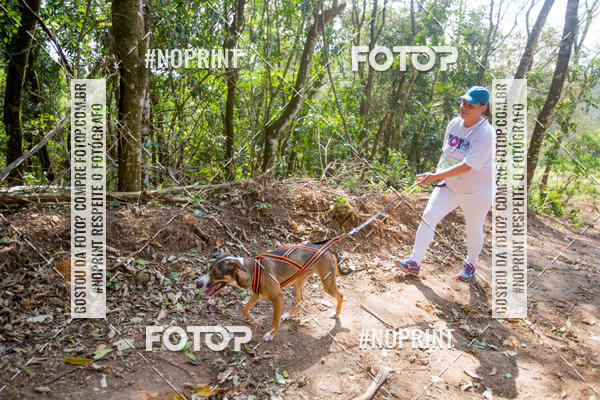 Buy your photos of the eventTreino Premiado de Canicross on Fotop