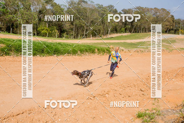 Buy your photos of the eventTreino Premiado de Canicross on Fotop