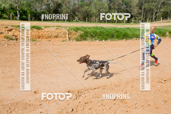 Buy your photos of the eventTreino Premiado de Canicross on Fotop