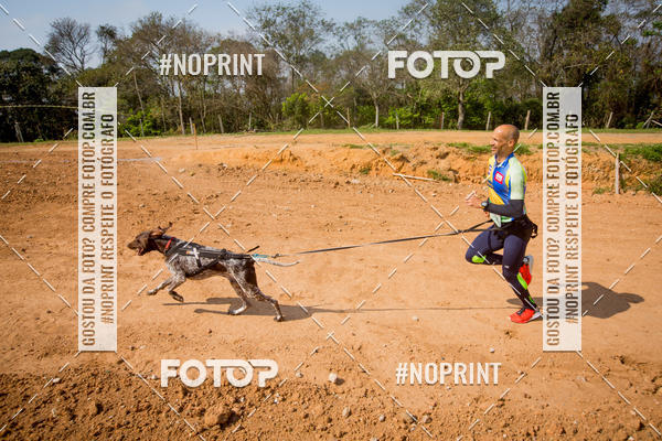 Buy your photos of the eventTreino Premiado de Canicross on Fotop