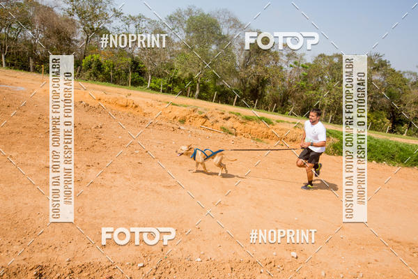 Buy your photos of the eventTreino Premiado de Canicross on Fotop