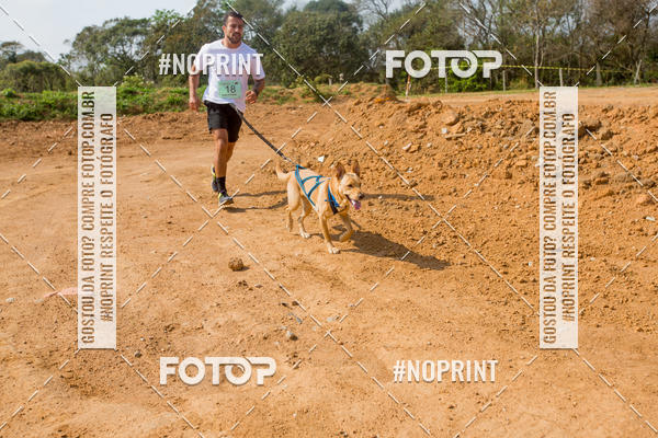 Buy your photos of the eventTreino Premiado de Canicross on Fotop