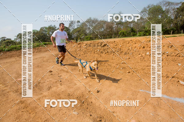 Buy your photos of the eventTreino Premiado de Canicross on Fotop