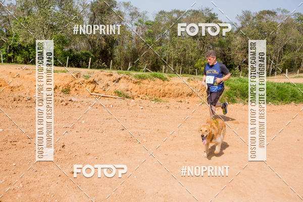 Buy your photos of the eventTreino Premiado de Canicross on Fotop