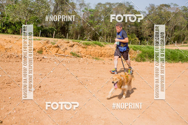 Buy your photos of the eventTreino Premiado de Canicross on Fotop