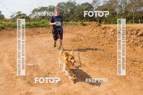 Buy your photos of the eventTreino Premiado de Canicross on Fotop
