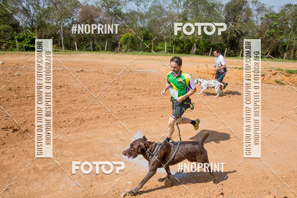 Buy your photos of the eventTreino Premiado de Canicross on Fotop