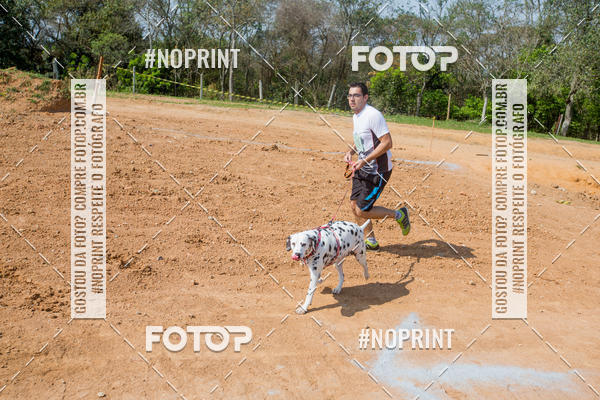 Buy your photos of the eventTreino Premiado de Canicross on Fotop