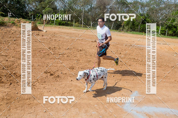 Buy your photos of the eventTreino Premiado de Canicross on Fotop
