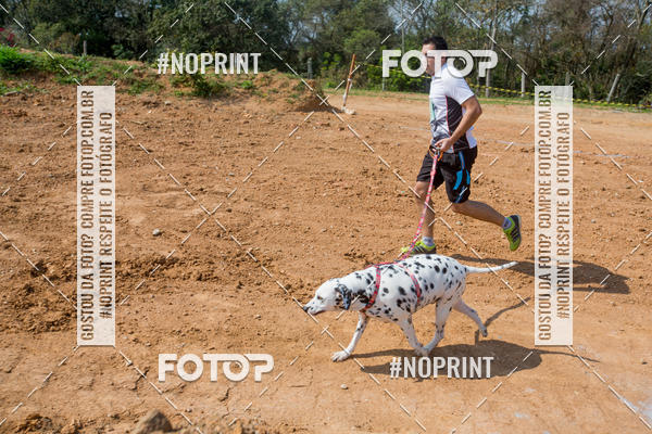 Buy your photos of the eventTreino Premiado de Canicross on Fotop