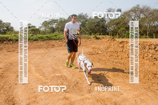 Buy your photos of the eventTreino Premiado de Canicross on Fotop