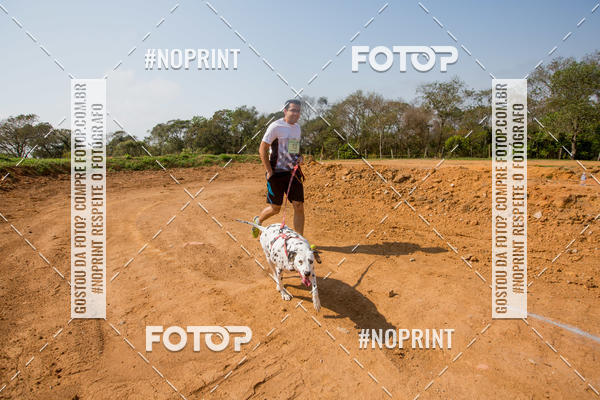 Buy your photos of the eventTreino Premiado de Canicross on Fotop