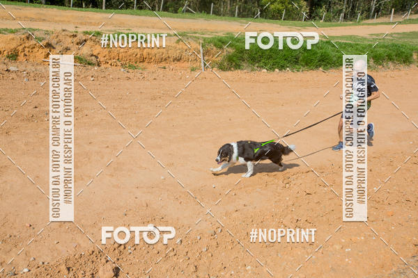 Buy your photos of the eventTreino Premiado de Canicross on Fotop