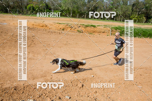 Buy your photos of the eventTreino Premiado de Canicross on Fotop