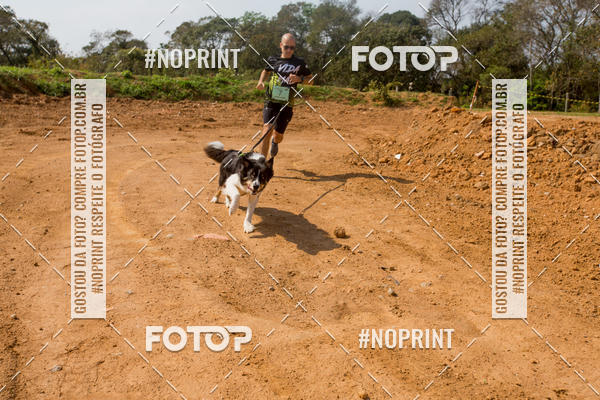 Buy your photos of the eventTreino Premiado de Canicross on Fotop