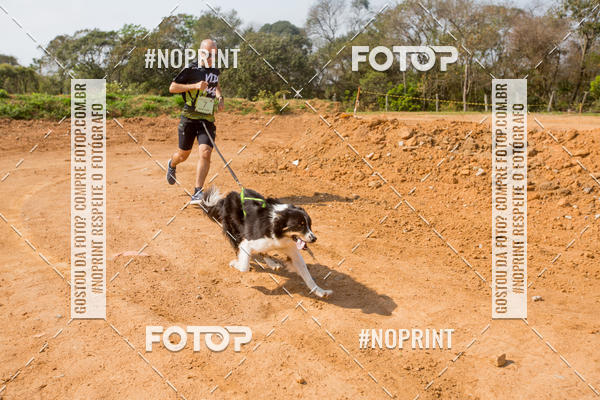 Buy your photos of the eventTreino Premiado de Canicross on Fotop